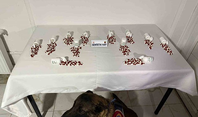 Tunceli'de narkotik köpeği 'Ayar' bagaja zulalanmış uyuşturucuyu buldu: 2 şüpheli yakalandı
