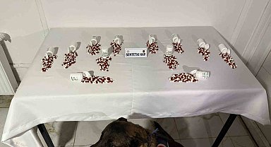 Tunceli'de narkotik köpeği 'Ayar' bagaja zulalanmış uyuşturucuyu buldu: 2 şüpheli yakalandı