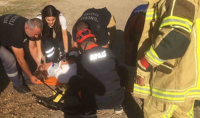 Tunceli'de trafik kazası: 5 yaralı