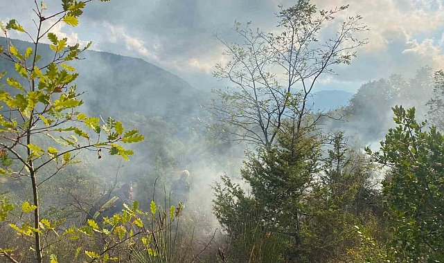 Türkeli'de otluk alanda çıkan yangın söndürüldü
