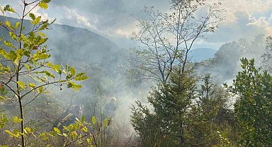 Türkeli'de otluk alanda çıkan yangın söndürüldü