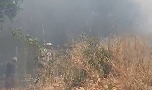 Türkiye-İran sınırında yangın: Vatandaşlar müdahale etti