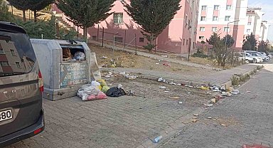 Tuşba'da yol ve çöp sorunu vatandaşları bıktırdı