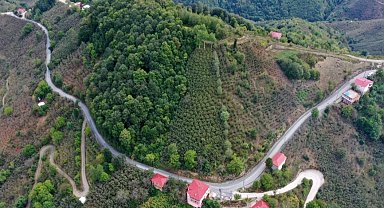 Ünye Pelitliyatak'ta mutlu son!