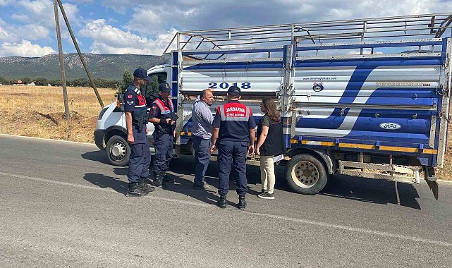 Uşak'ta canlı hayvan nakil araçlarına yönelik denetimler sürüyor