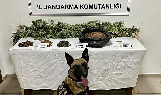 Uyuşturucu operasyonunda 1 kişi tutuklandı
