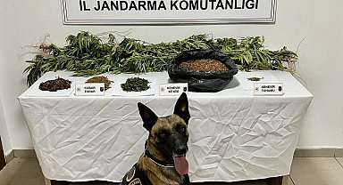 Uyuşturucu operasyonunda 1 kişi tutuklandı