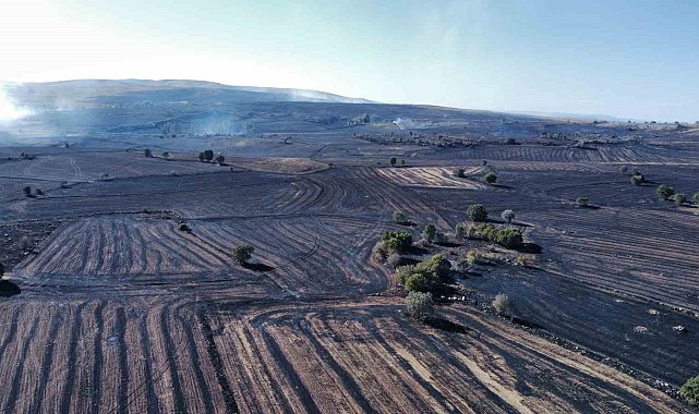 Uzmanı uyardı: "Orman yangınlarına karşı topraktaki nem kapasitesini arttırmalıyız"