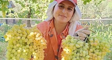 Üzüm yiyin, hastalıklardan korunun