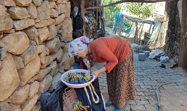 Uzun kış gecelerinde tüketmek için meyveler kurutuluyor