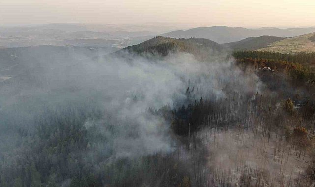 Vali Taşolar'dan orman yangınını ihbar eden çocuğa teşekkür