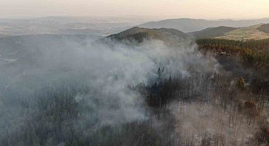 Vali Taşolar'dan orman yangınını ihbar eden çocuğa teşekkür