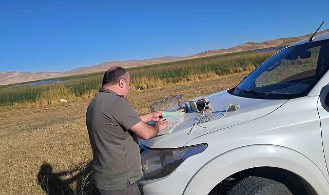 Van'da canlı mühre ile avcılık yapan şahsa 33 bin lira cezai işlem uygulanacak