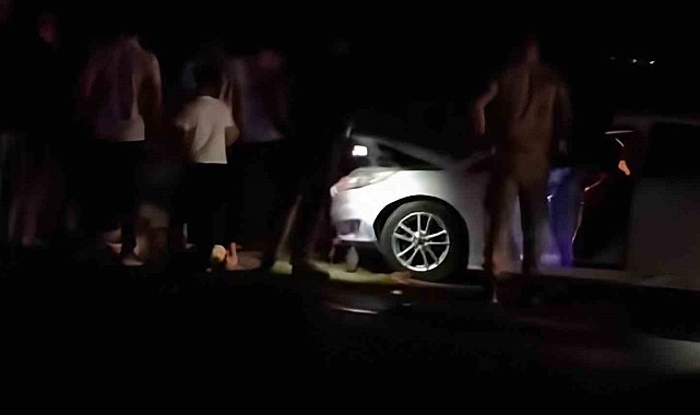 Van'da otomobil sürüye çarptı: 8 koyun telef oldu