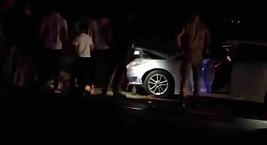 Van'da otomobil sürüye çarptı: 8 koyun telef oldu