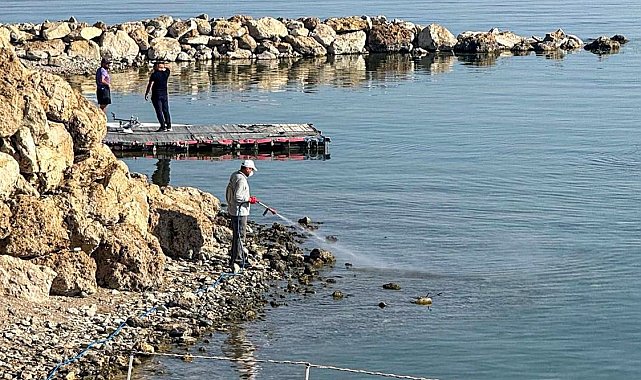 Van'da vektörle mücadele seferberliği