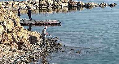 Van'da vektörle mücadele seferberliği