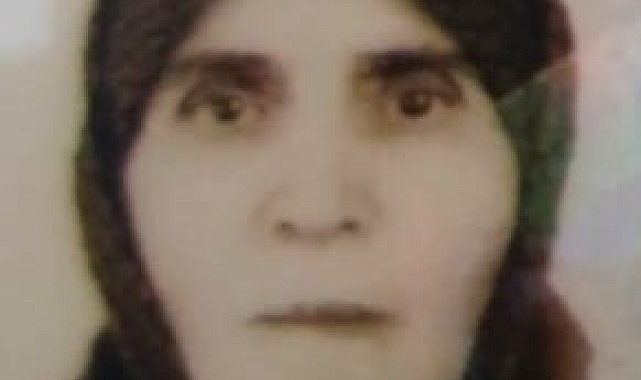 Yalnız yaşayan yaşlı kadın evinde ölü bulundu