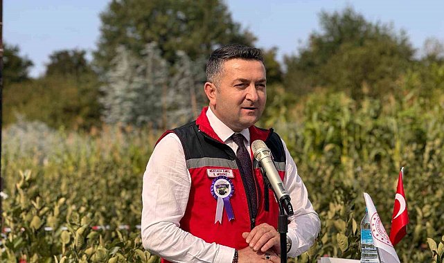 Yalova'nın coğrafi işaretli meyvesi aronyada hasat sevinci