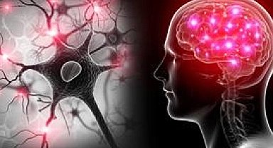 Yapay zekâ ve EEG ile otizm ve dislekside erken teşhis umudu