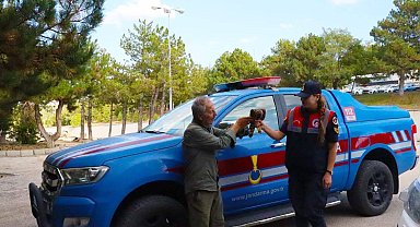 Yaralı Çakır kuşuna Jandarma ekiplerinin şefkatli eli uzandı