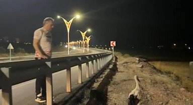 Yaralı leyleklere Başkan Çenet'ten şefkat eli