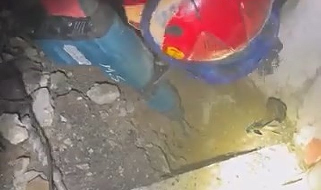Yaramaz kedi, kaza kaza kendini toprağa gömdü