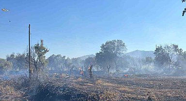 Yatağan'da tarlada çıkan yangın ekipler tarafından söndürüldü