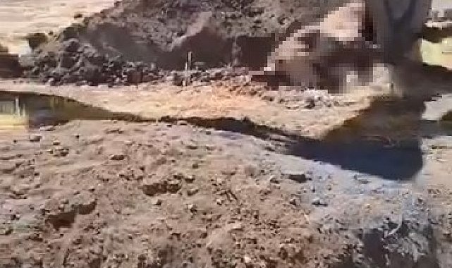 Yazıkonak'ta ölü hayvanın yerleşim alanına gömülmesine vatandaştan tepki