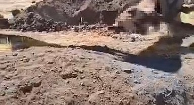 Yazıkonak'ta ölü hayvanın yerleşim alanına gömülmesine vatandaştan tepki