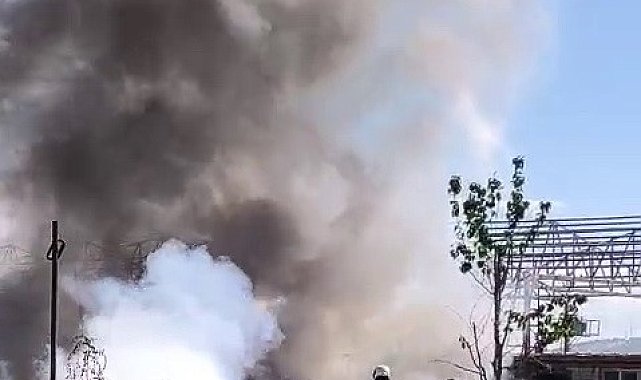 Yerleşim alanına yakın çıkan yangın korkuttu