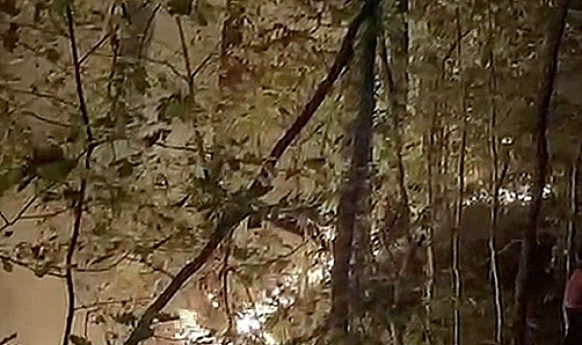 Yığılca'daki orman yangını söndürüldü