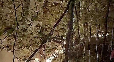 Yığılca'daki orman yangını söndürüldü
