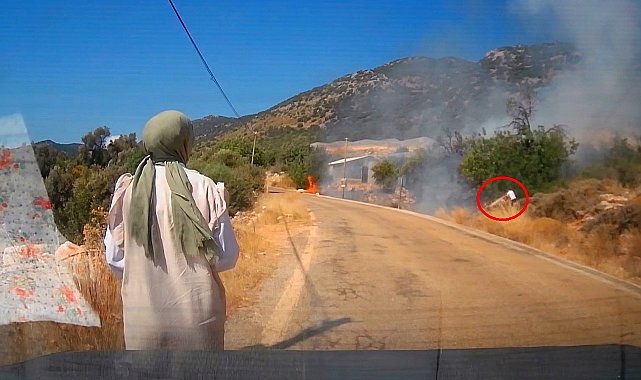 Yol kenarındaki yangını gören tatilci aile alevlere yangın tüpüyle müdahale etti