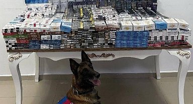 Yol kontrolünde 3 bin 606 paket kaçak sigara ele geçirildi