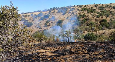 Yozgat'ta makilik alanda çıkan yangın 15 dönüm alanda etkili oldu