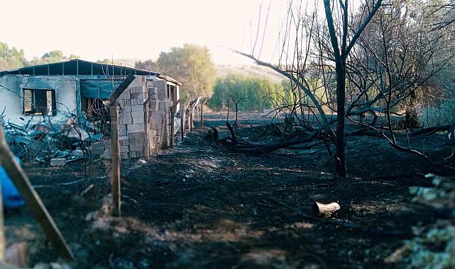 Yozgat'ta yangın: Bir ev ve 20 dönüm alan küle döndü
