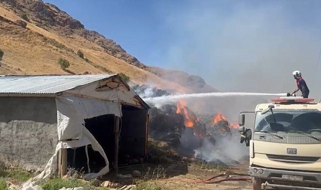 Yüksekova'da 20 bin bağ ot kül oldu