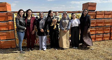 Yüksekova'da arıcılığa kadın eli değiyor: "Bin 275 kovan desteği verildi"
