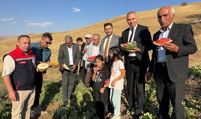 Yüksekova'da mısır, karpuz ve kavun hasadı yapıldı