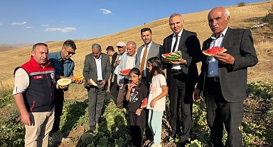 Yüksekova'da mısır, karpuz ve kavun hasadı yapıldı