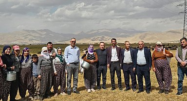 Yüksekova'da şap hastalığı kontrol altına alındı