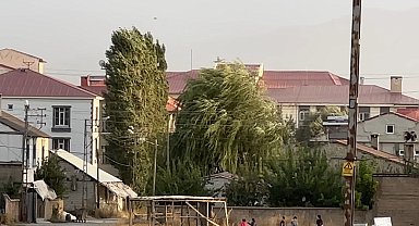 Yüksekova'da şiddetli rüzgar hayatı olumsuz etkiledi