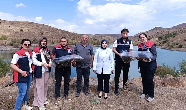 Yüzbinlerce balık suyla buluştu