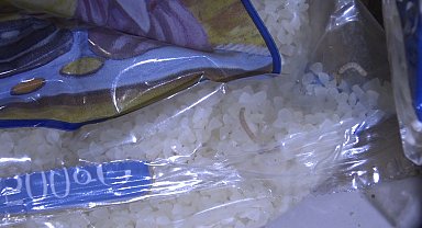 Zabıta denetiminde kurtlanmış ve böceklenmiş ürünler ele geçirildi