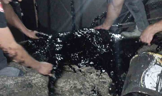 Zift kazanına düşen köpek yarım saatlik müdahale sonrası kurtarıldı