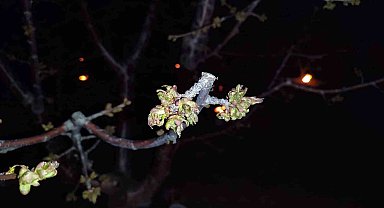 Zirai don zararına uğrayan çiftçilere destekleme ödemesi yapılacak