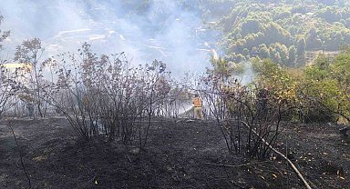 Zonguldak'ta 2 dekarlık alanda örtü yangını