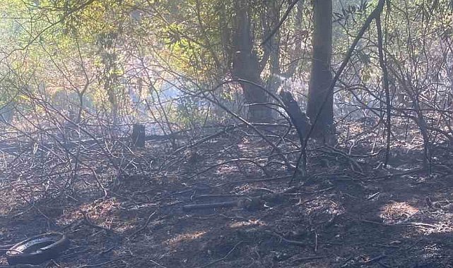 Zonguldak'ta ormanlık alanda çıkan yangın kısa sürede söndürüldü