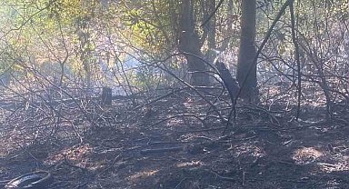 Zonguldak'ta ormanlık alanda çıkan yangın kısa sürede söndürüldü